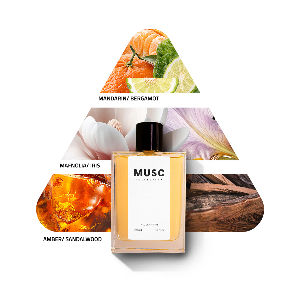 AMBER MUSC